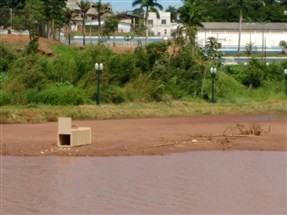 Começa processo de captura do jacaré em Umuarama